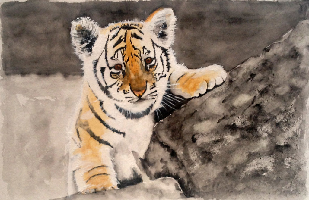 Tigerbaby