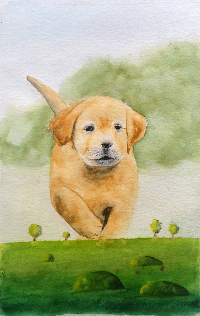 Hund beige