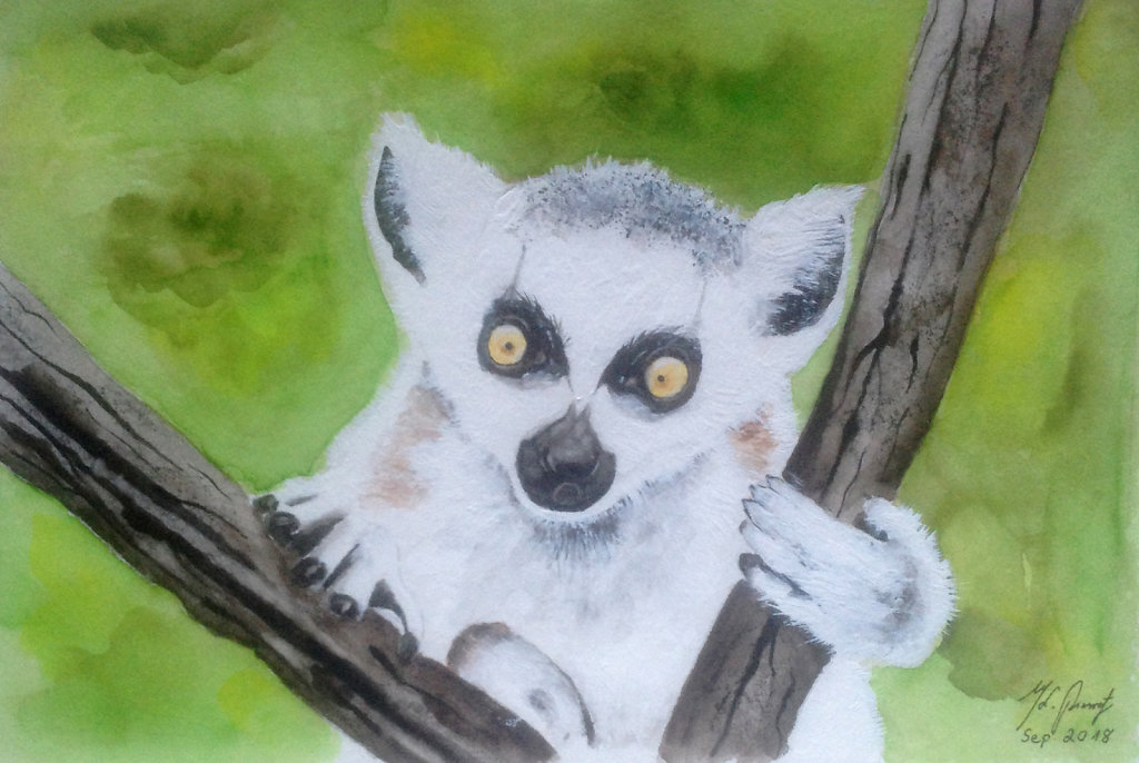 Lemur