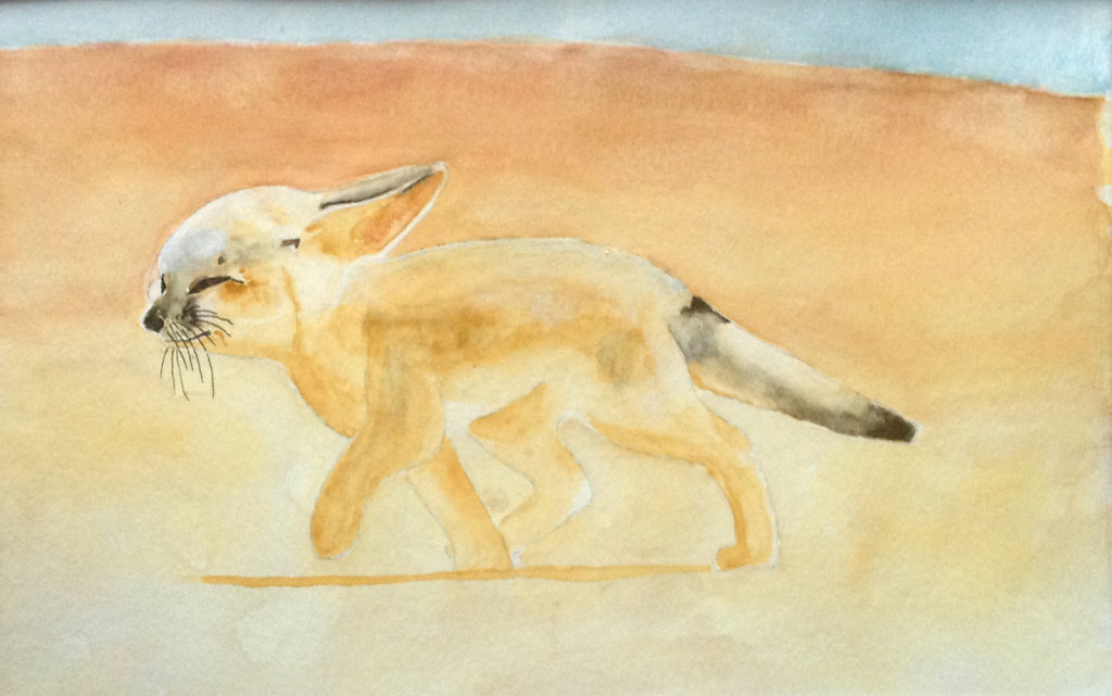 Wüstenfuchs