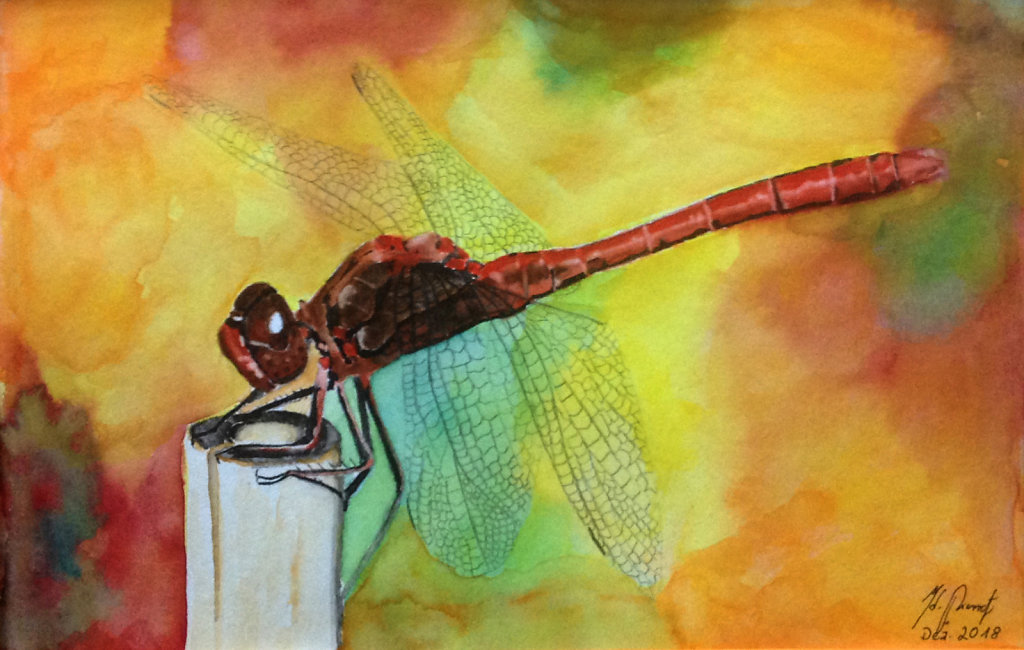 Libelle