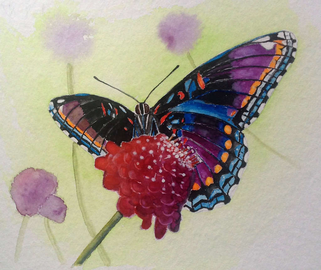 Schmetterling schwarz