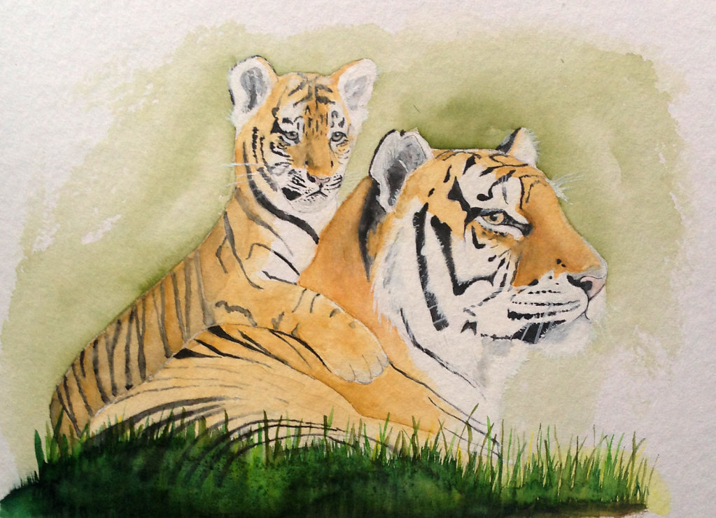 Tigerpaar