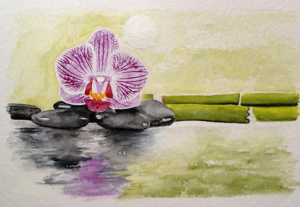 Orchidee Spiegelung
