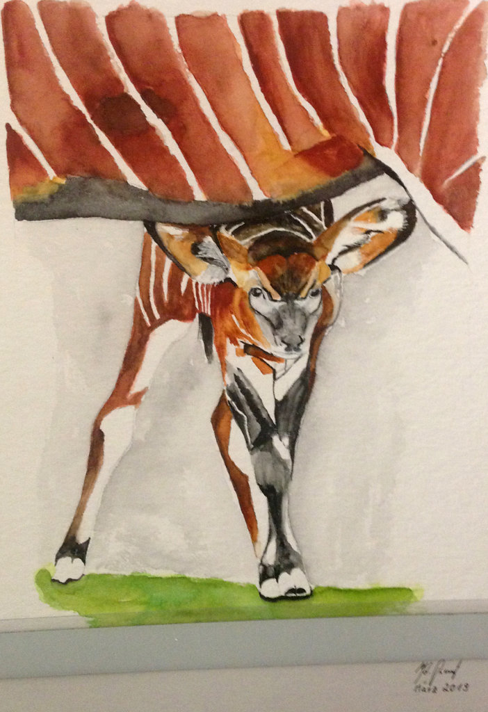 Antilope