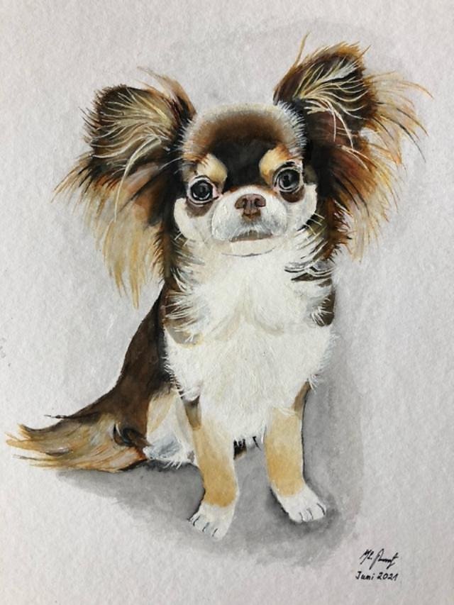 Hund