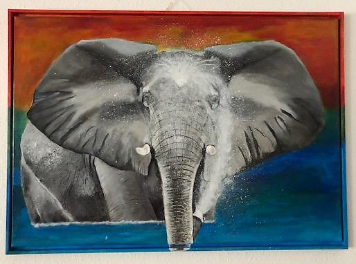 Elefant im Wasser