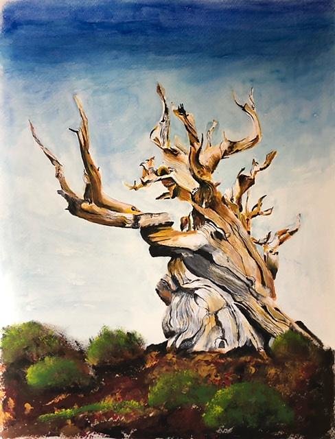 Alter Baum
